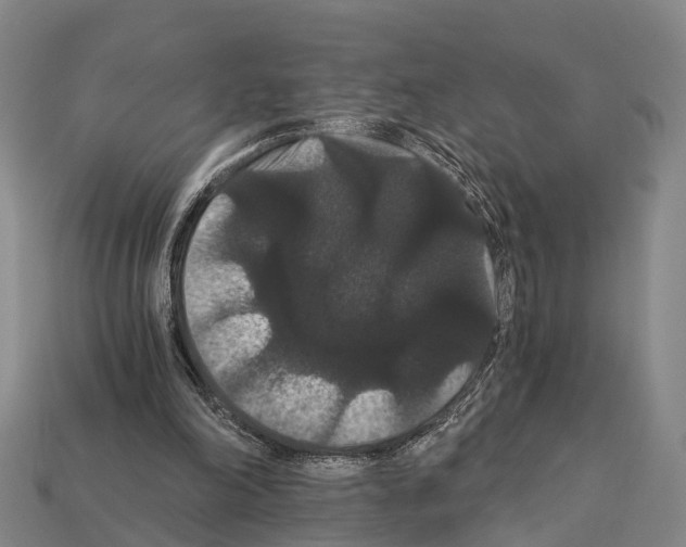 X0000111910198200909071204