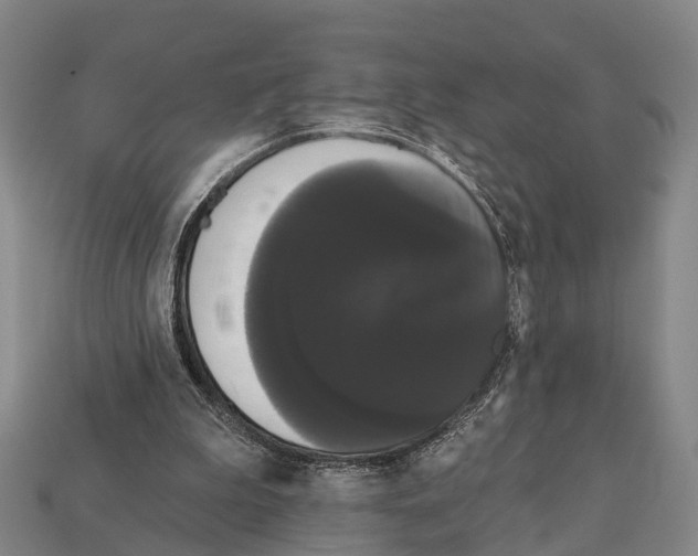 X0000111910199200909071204