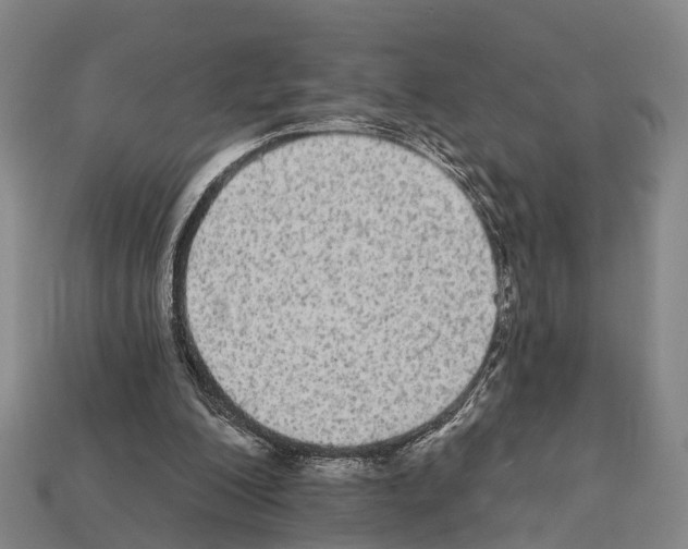 X0000111910200200909071204