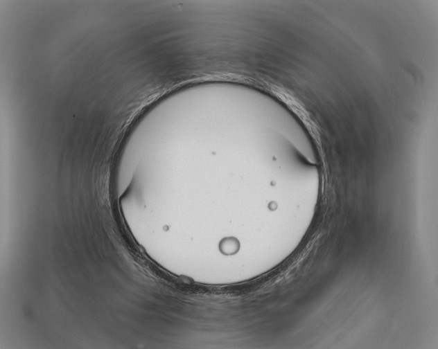 X0000111910201200909071204