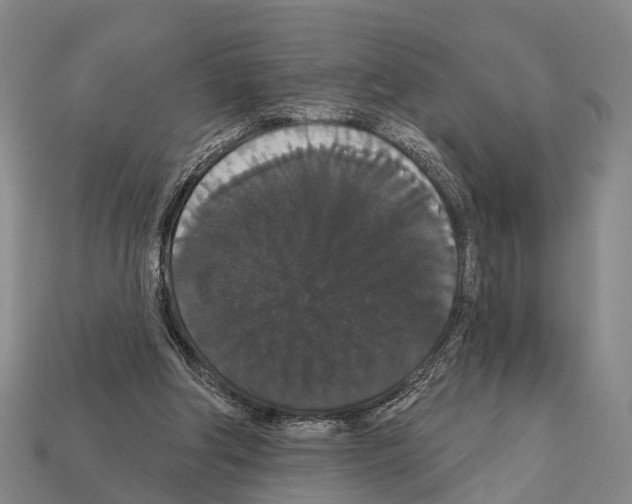 X0000111910202200909071204