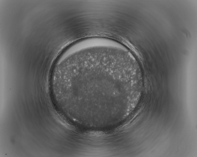 X0000111910203200909071204