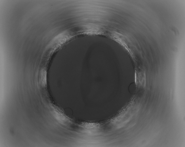 X0000111910205200909071203