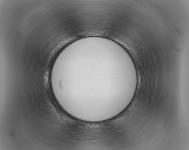 X0000111910206200909071203