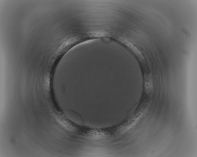X0000111910207200909071203