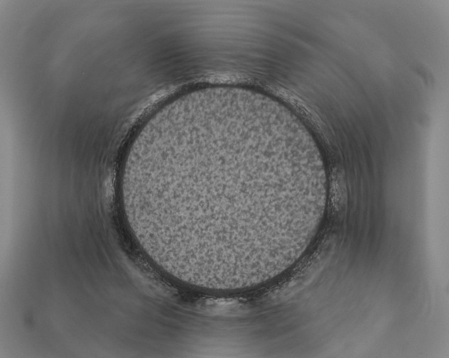 X0000111910208200909071203
