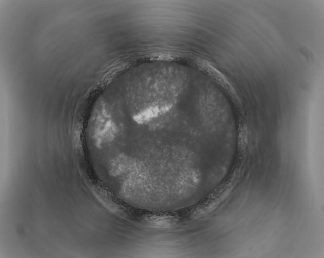 X0000111910209200909071203