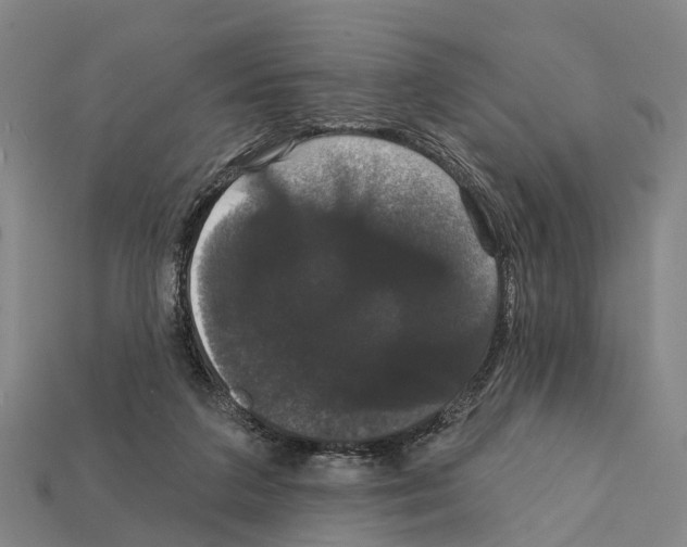 X0000111910211200909071203