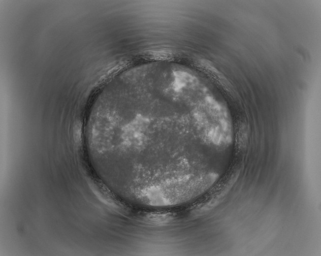 X0000111910213200909071203
