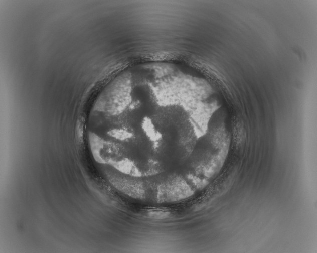 X0000111910214200909071203