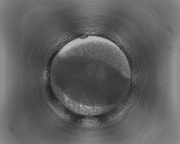 X0000111910215200909071203