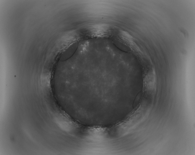 X0000111910217200909071203