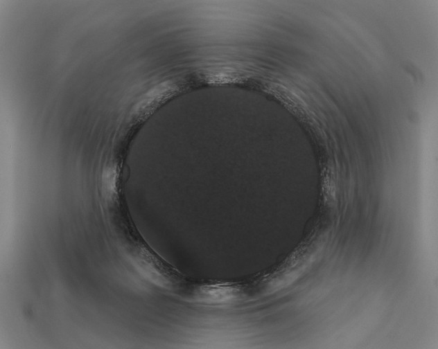 X0000111910219200909071203