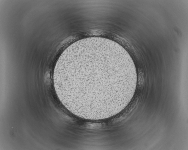 X0000111910220200909071203