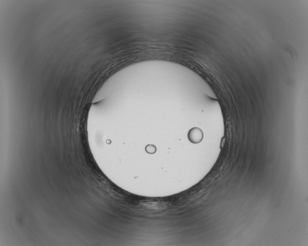 X0000111910221200909071203