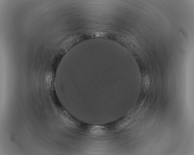 X0000111910222200909071203