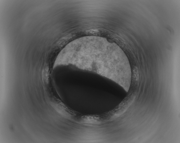 X0000111910223200909071203
