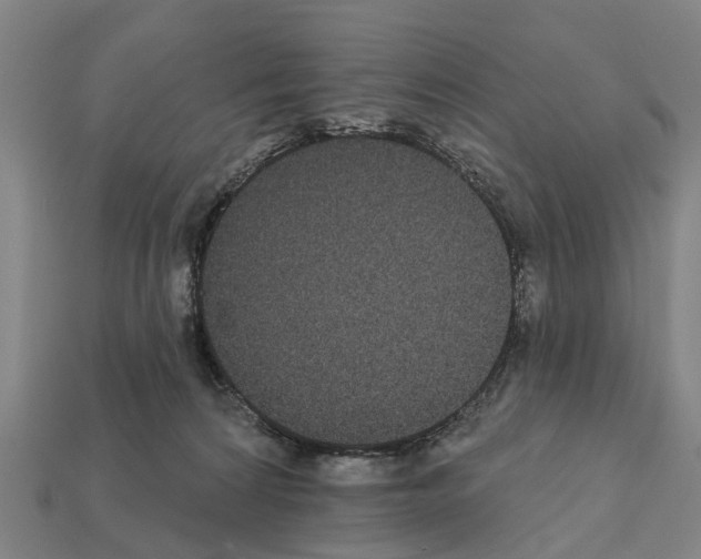 X0000111910224200909071203