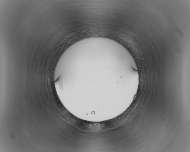 X0000111910225200909071203