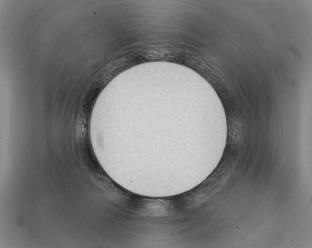 X0000111910226200909071203