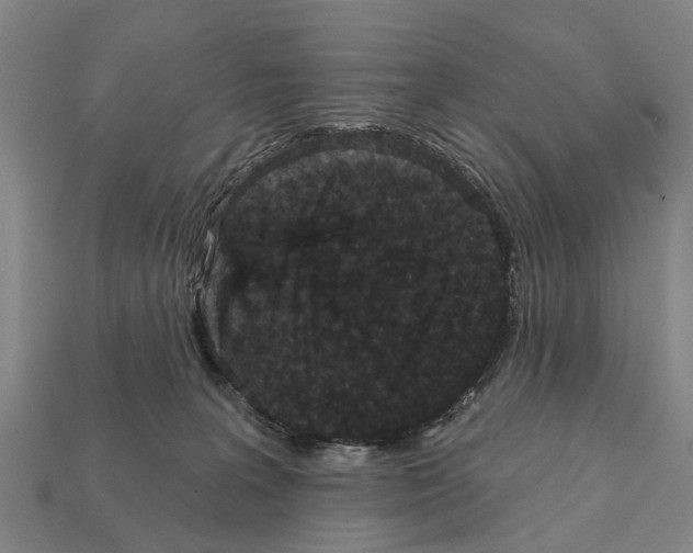 X0000111910227200909071203