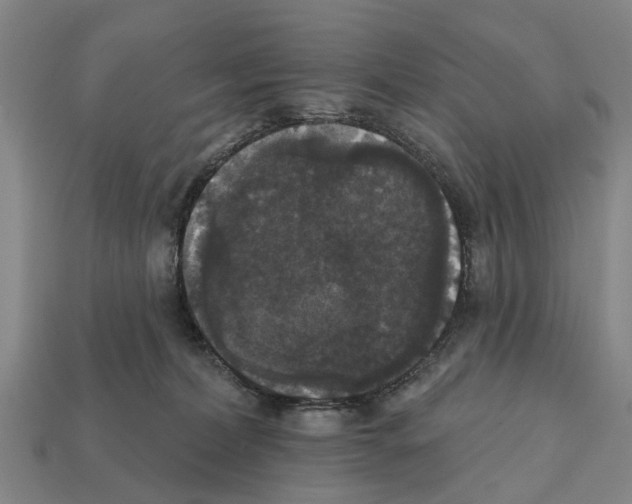 X0000111910228200909071203