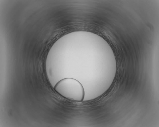 X0000111910229200909071203