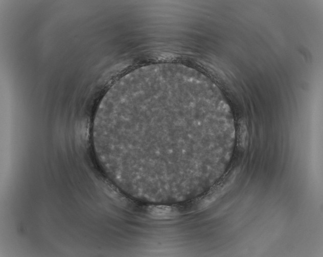 X0000111910230200909071203