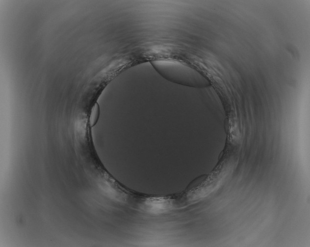 X0000111910231200909071203