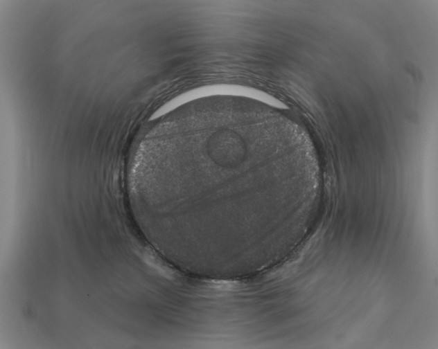 X0000111910233200909071203