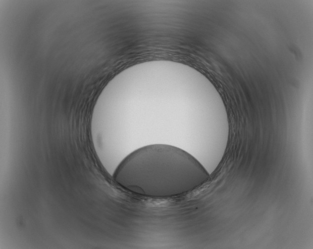 X0000111910235200909071203