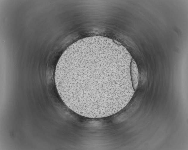 X0000111910236200909071203