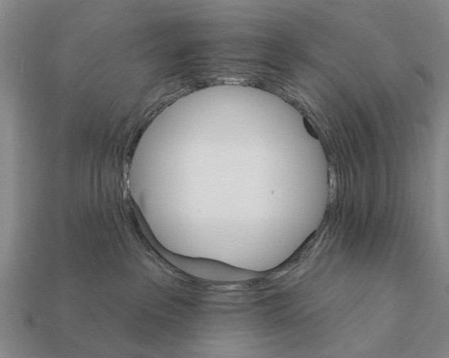 X0000111910237200909071203