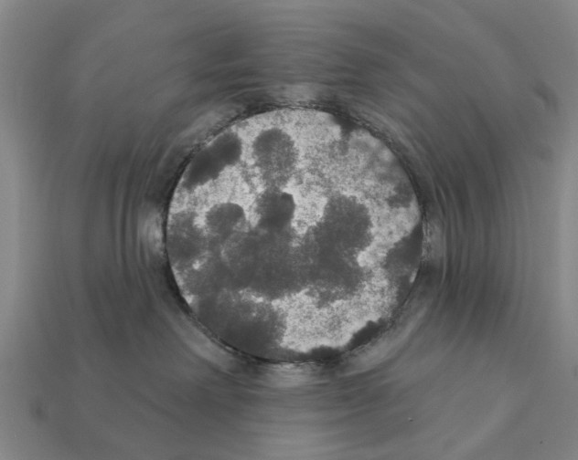 X0000111910238200909071203