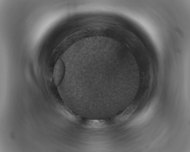 X0000111910239200909071203