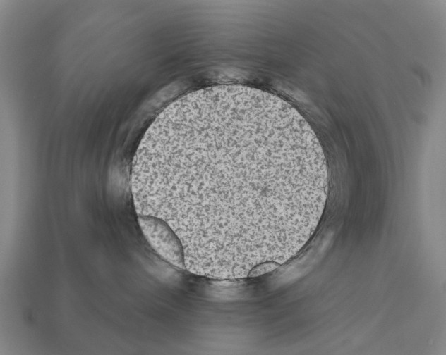 X0000111910240200909071203