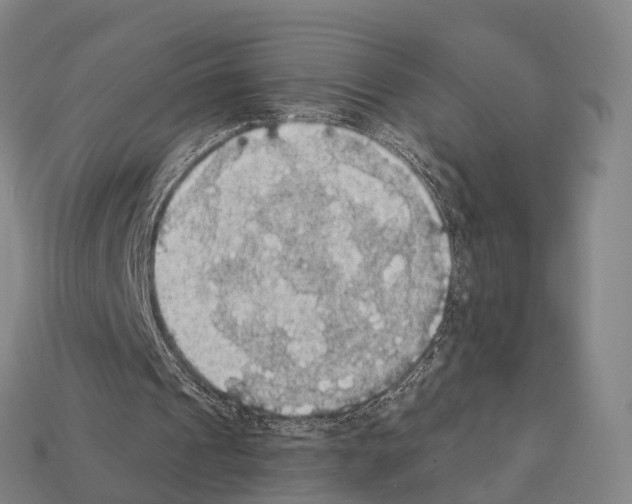 X0000111910241200909071202