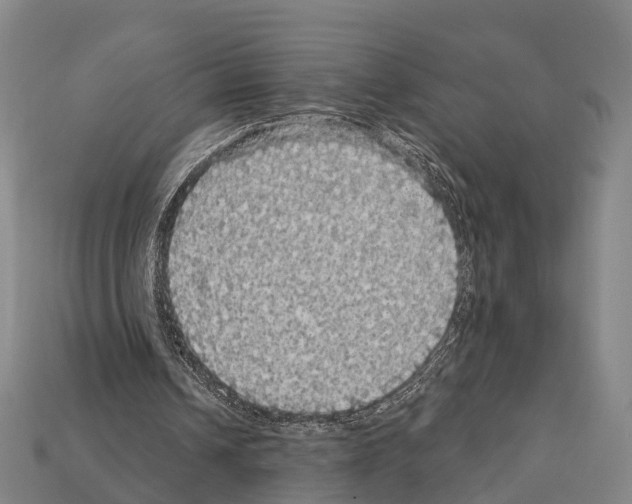 X0000111910242200909071202