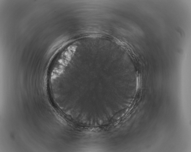 X0000111910243200909071202