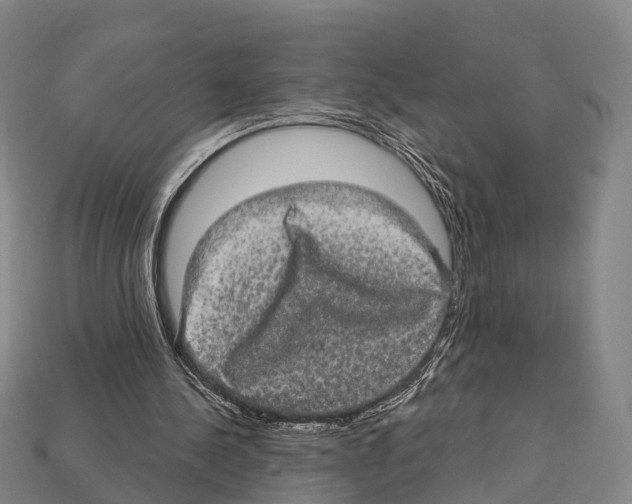 X0000111910244200909071202