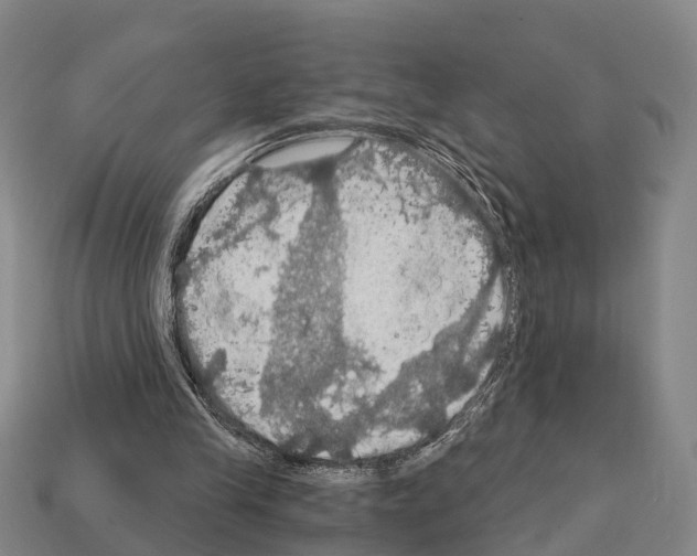 X0000111910245200909071202