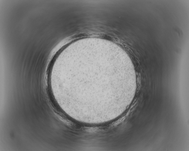 X0000111910246200909071202