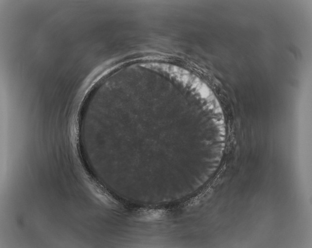 X0000111910247200909071202