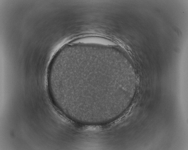 X0000111910248200909071202
