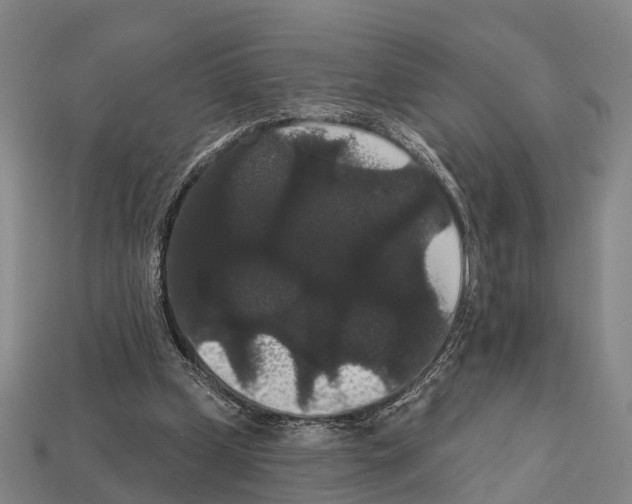 X0000111910249200909071202