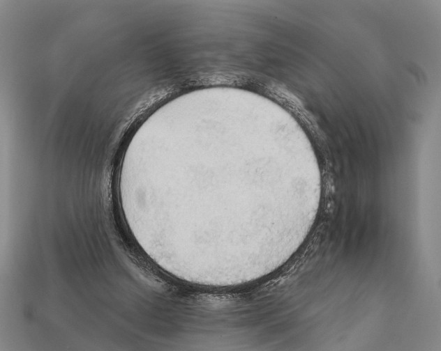 X0000111910250200909071202