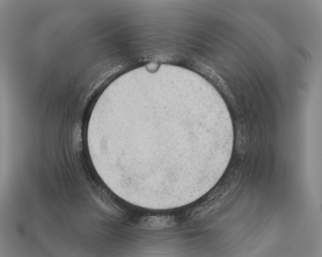 X0000111910251200909071203
