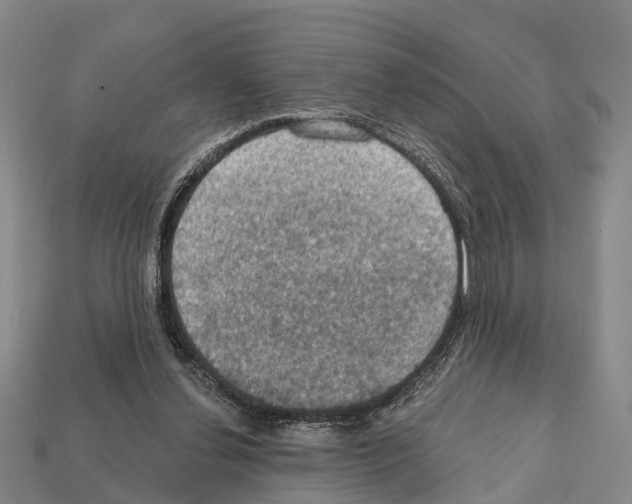 X0000111910252200909071203