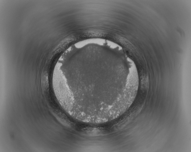 X0000111910254200909071203