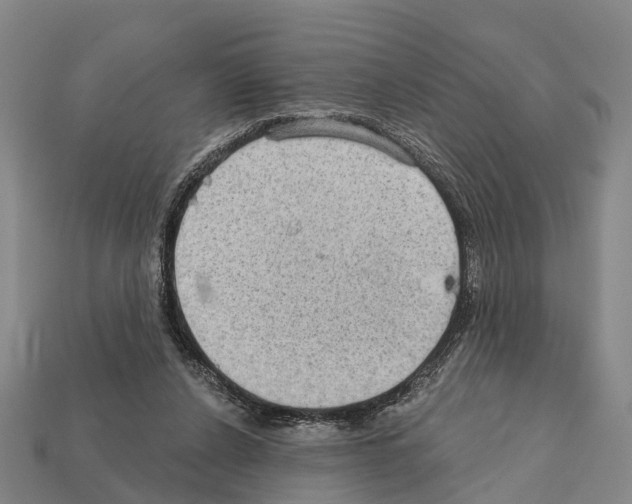 X0000111910256200909071203